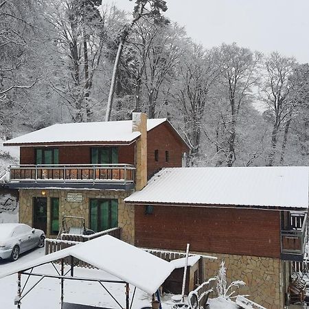 Villa A Barleon Bakuriani Dış mekan fotoğraf