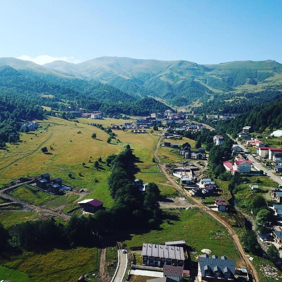 Villa A Barleon Bakuriani Dış mekan fotoğraf