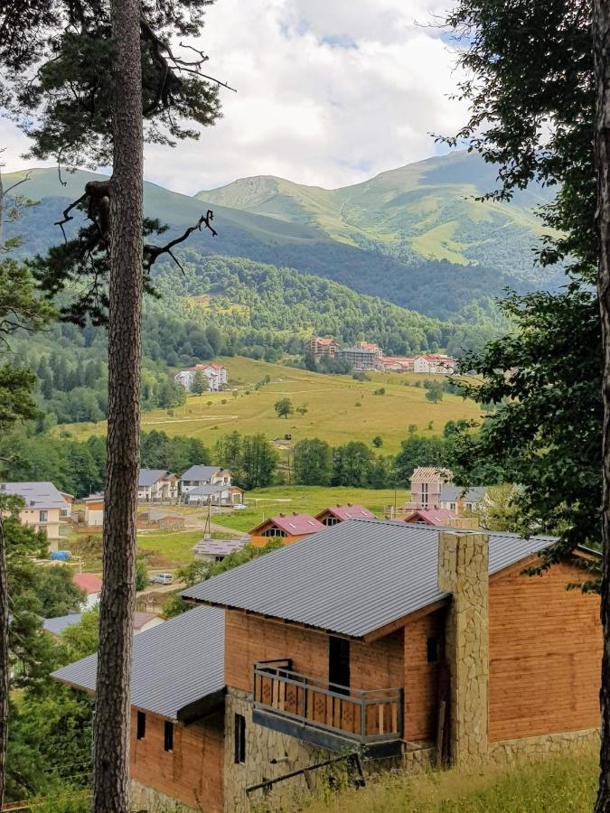 Villa A Barleon Bakuriani Dış mekan fotoğraf