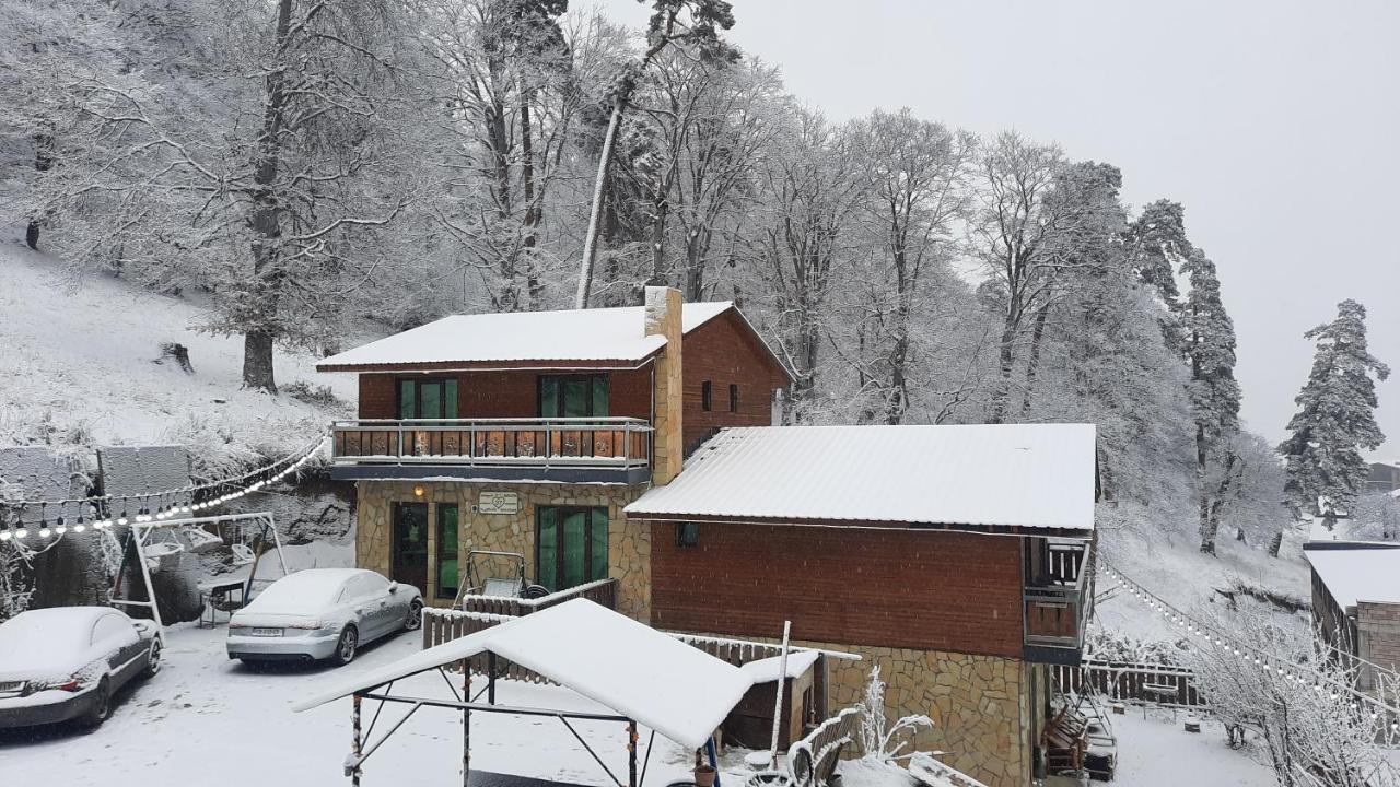 Villa A Barleon Bakuriani Dış mekan fotoğraf