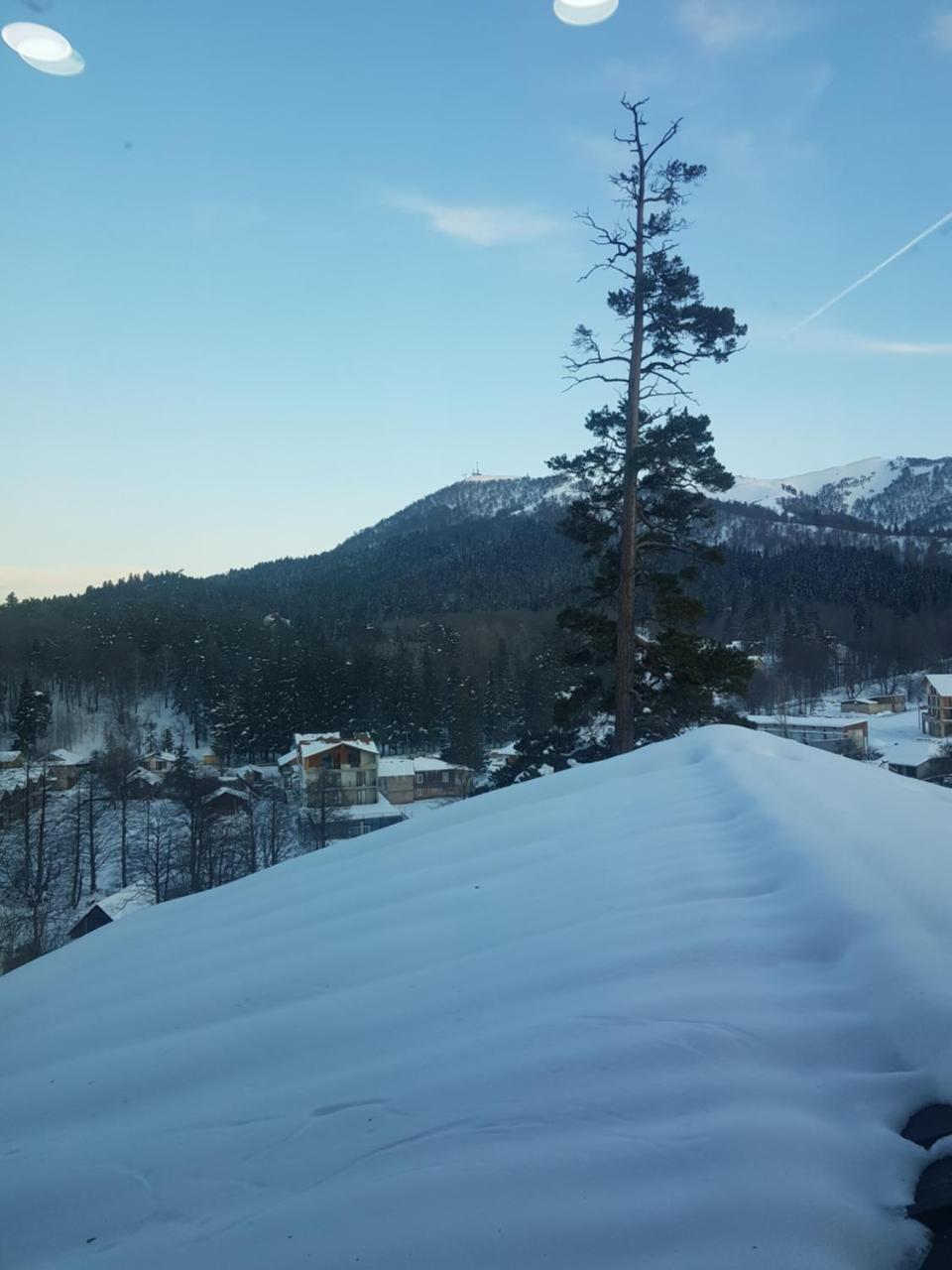 Villa A Barleon Bakuriani Dış mekan fotoğraf