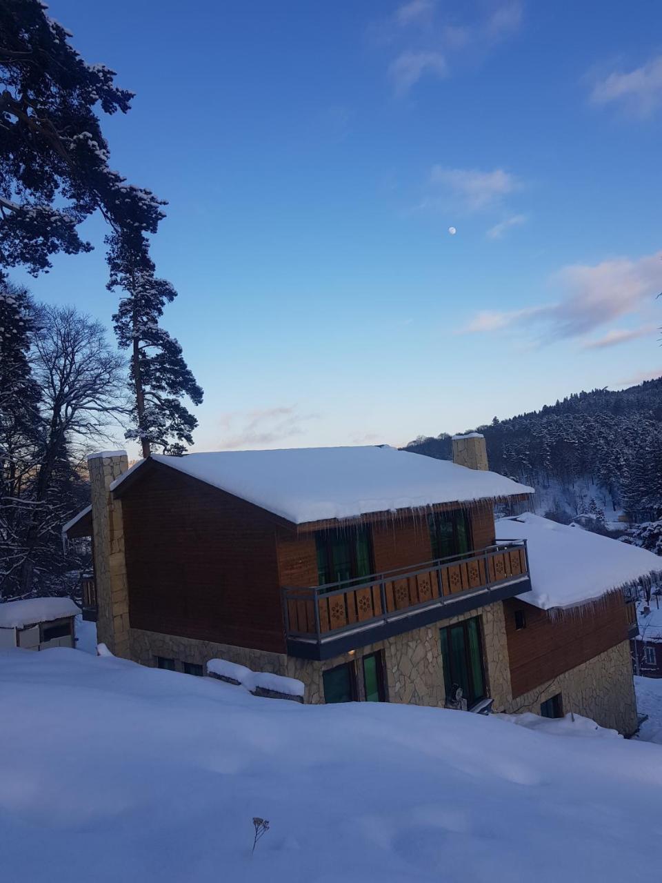 Villa A Barleon Bakuriani Dış mekan fotoğraf