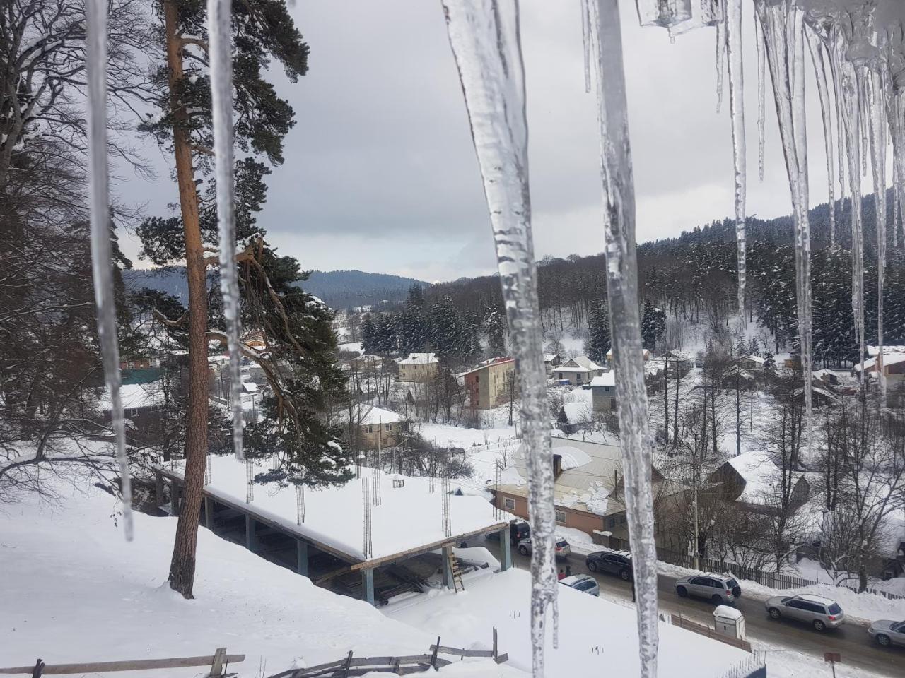 Villa A Barleon Bakuriani Dış mekan fotoğraf