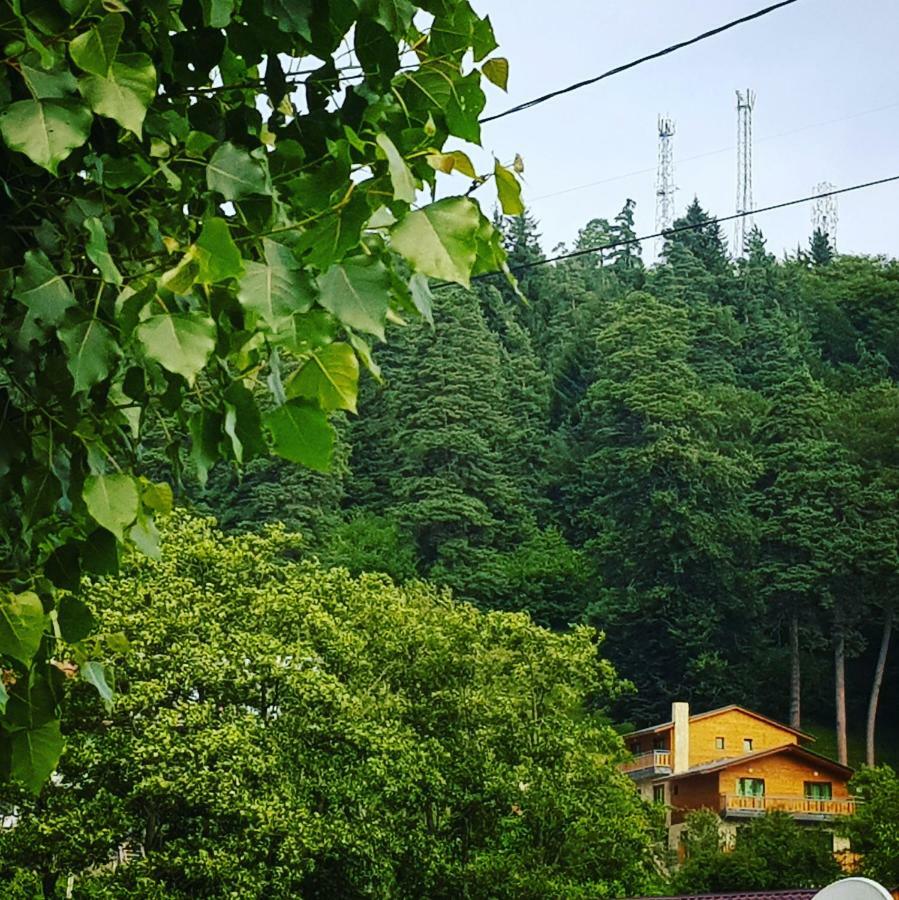 Villa A Barleon Bakuriani Dış mekan fotoğraf