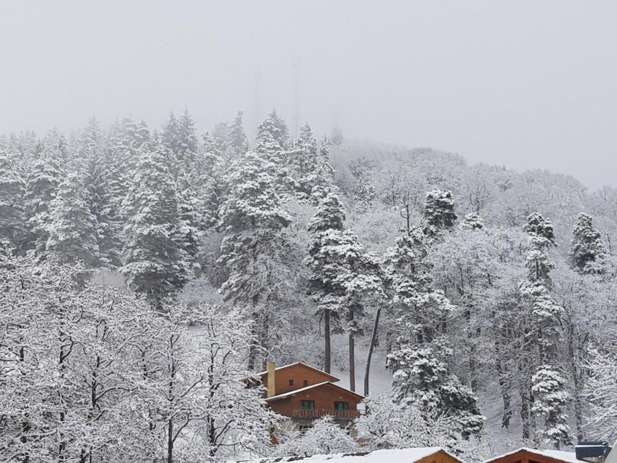 Villa A Barleon Bakuriani Dış mekan fotoğraf