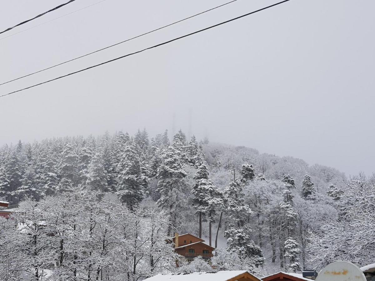 Villa A Barleon Bakuriani Dış mekan fotoğraf