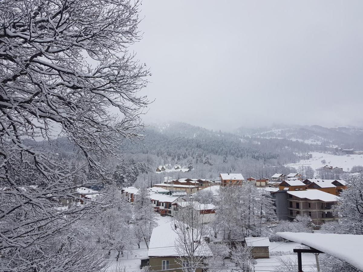 Villa A Barleon Bakuriani Dış mekan fotoğraf